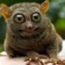 jonny